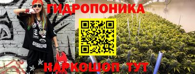 стаф Кимры