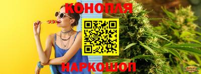 стаф Кимры
