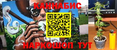 стаф Кимры