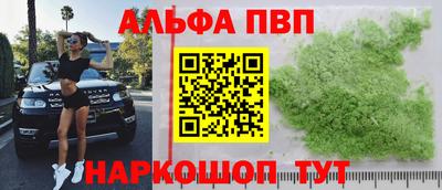 стаф Кимры
