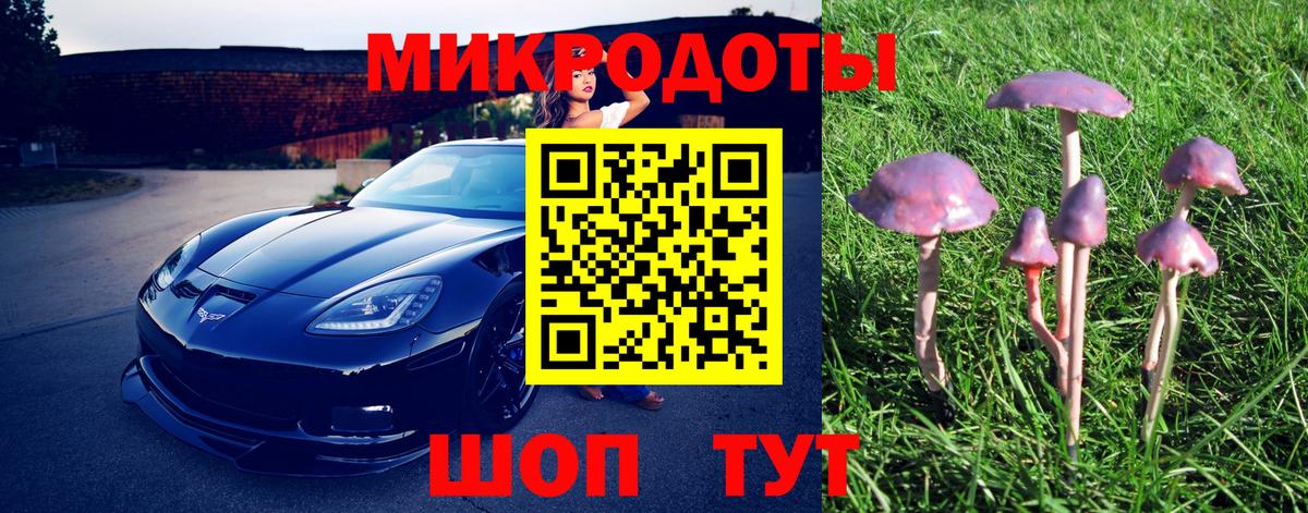 Псилоцибиновые грибы прущие грибы Аксай