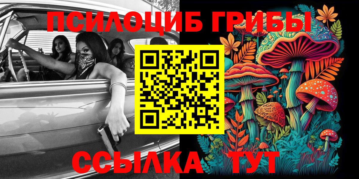 Аксай  Псилоцибиновые грибы Psilocybe  Вход с VPN 